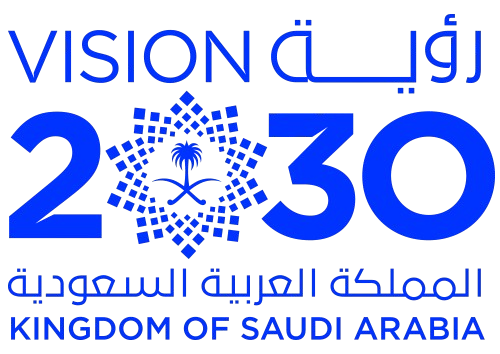 vision 2030